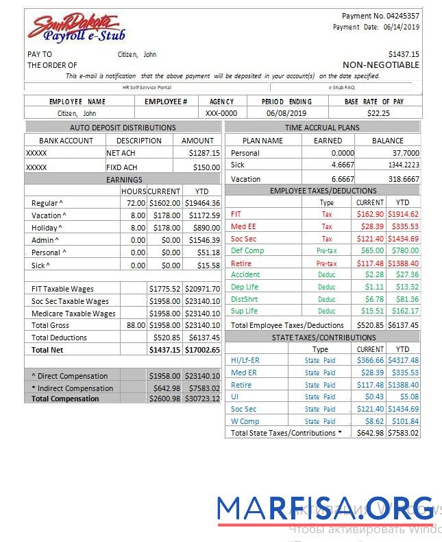Realistic USA South Dakota payroll e stub sample